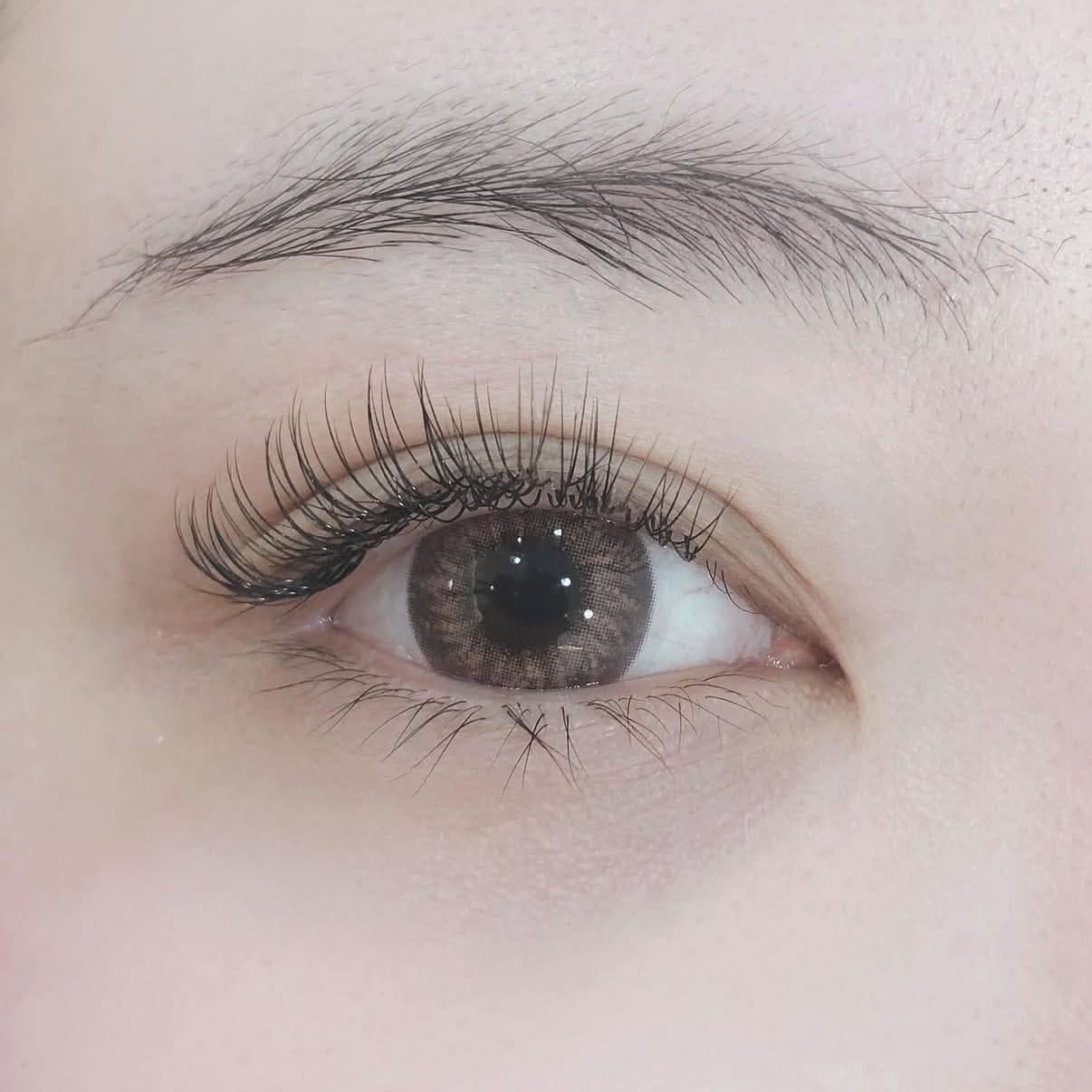 Close-up of an open eye with a classic lash extension set: fine, curled lashes evenly spaced along the upper lid.