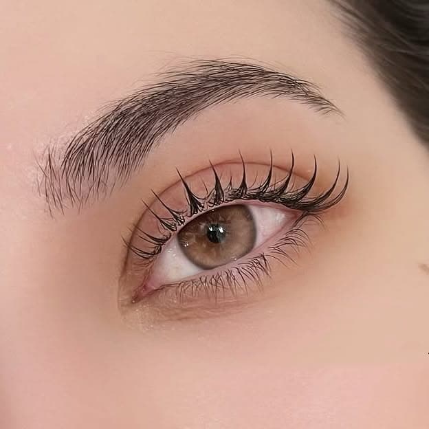 Close-up of an eye with lashes gathered into fine, defined points for a mascara-like finish.